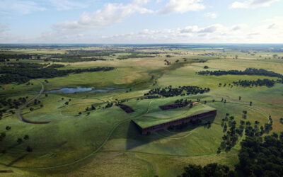 Texas Prairie: Aerial Grass