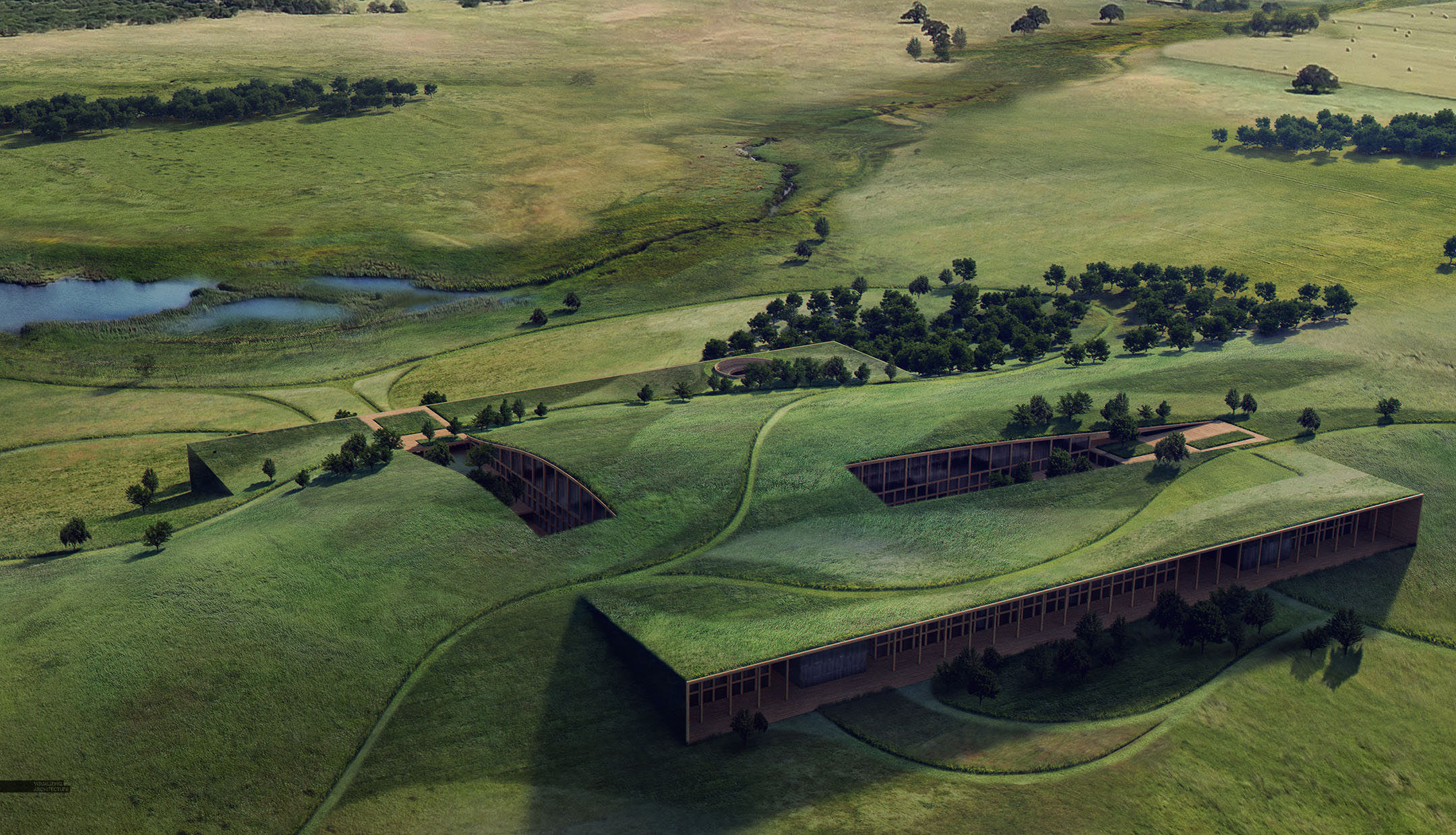 Texas Prairie: Aerial Grass – David Decker